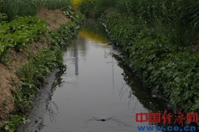 污水在郭莊村附近流入奎旺河的一條支流，順著河道流入上蔡縣，匯入沙河。