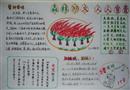 手抄報(bào)：森林防火，人人有責(zé)
