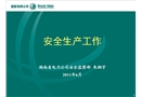 電力安全生產(chǎn)工作