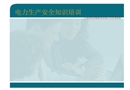 電力生產(chǎn)安全知識(shí)培訓(xùn)