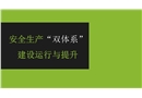 安全生產(chǎn)雙體系建設(shè)運行與提升