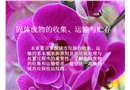 固體廢物的收集、運(yùn)輸與貯存